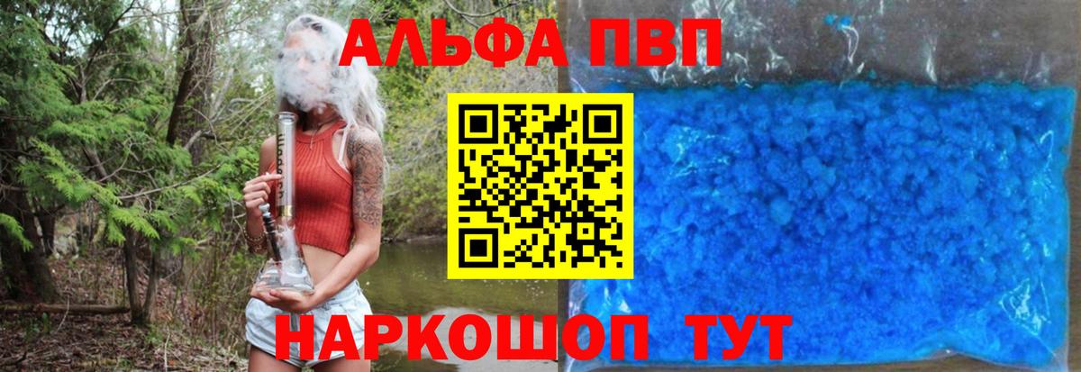 A-PVP СК КРИС Кингисепп