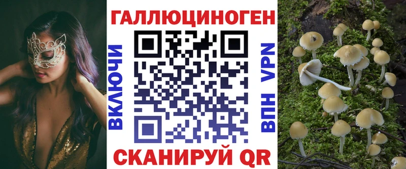 Галлюциногенные грибы Psilocybe Кингисепп