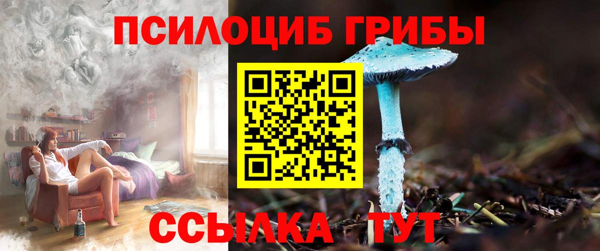 Псилоцибиновые грибы Cubensis Кингисепп