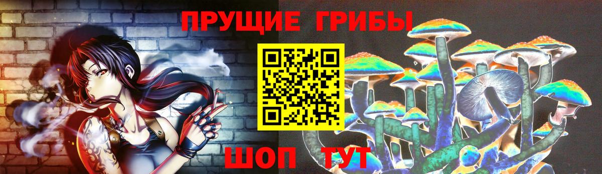 Псилоцибиновые грибы Cubensis  Псилоцибиновые грибы GOLDEN TEACHER  Кингисепп 