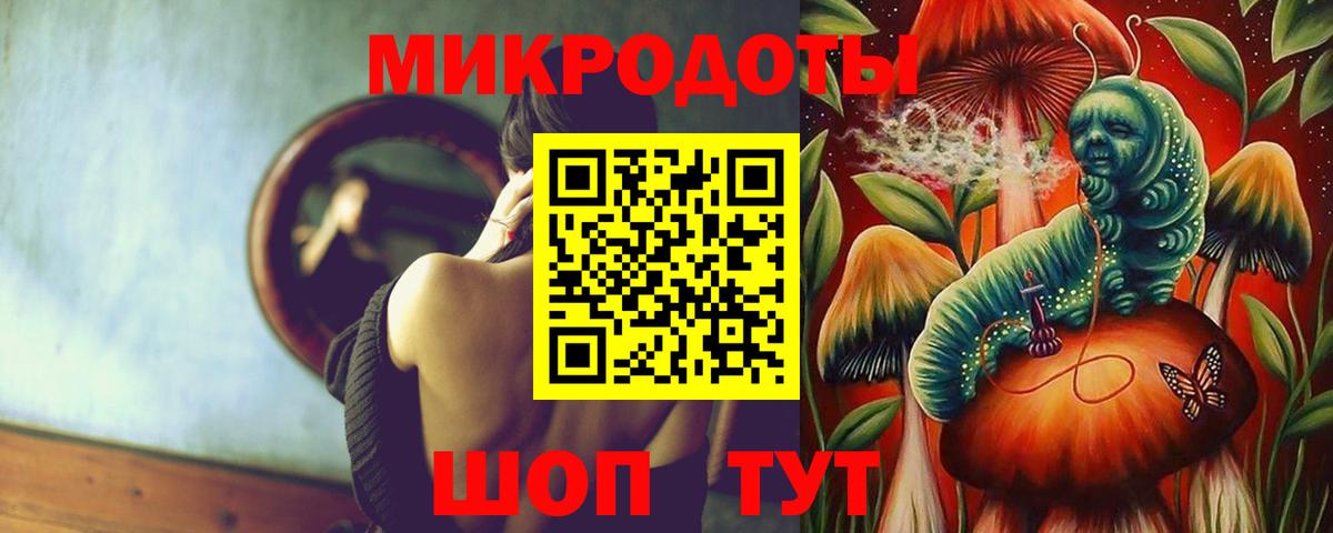 закладка  Вход с VPN  Кингисепп  Псилоцибиновые грибы GOLDEN TEACHER 